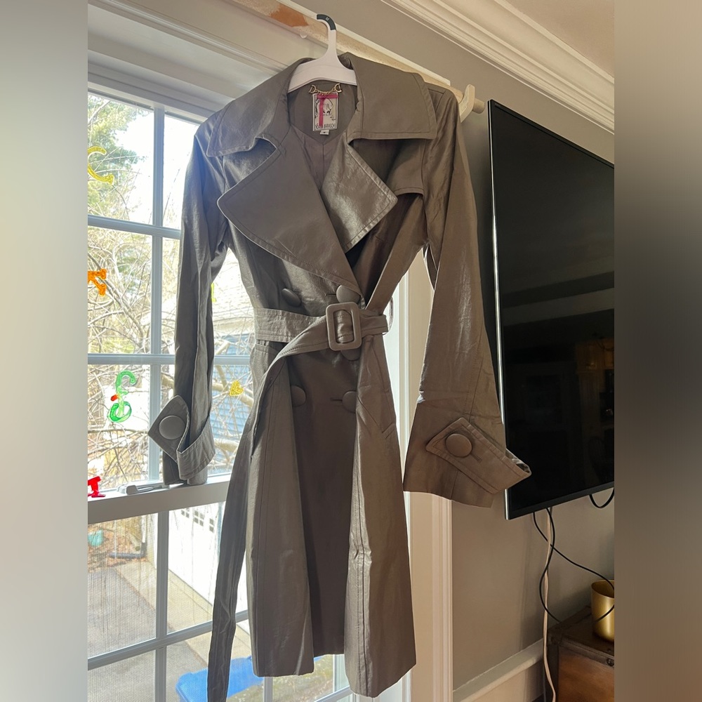 Yoana Baraschi metalic trench